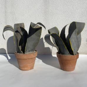 A Pair of French Zinc Cacti